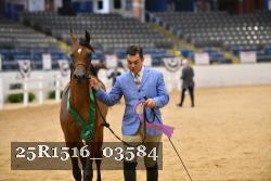 25R1516_03584 thumbnail
