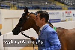 25R1516_03585 thumbnail