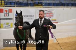 25R1516_03586 thumbnail