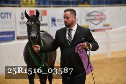 25R1516_03587 thumbnail