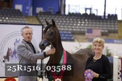 25R1516_03588 thumbnail