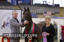 25R1516_03589 thumbnail