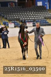 25R1516_03590 thumbnail