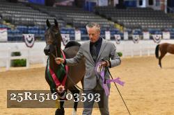 25R1516_03593 thumbnail