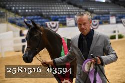 25R1516_03594 thumbnail