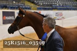 25R1516_03599 thumbnail