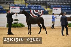25R1516_03601 thumbnail