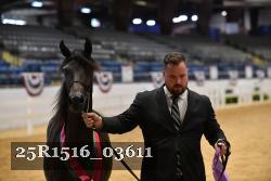 25R1516_03611 thumbnail