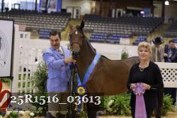 25R1516_03613 thumbnail