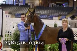 25R1516_03614 thumbnail