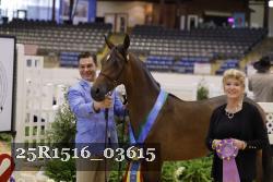 25R1516_03615 thumbnail