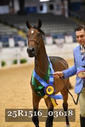 25R1516_03618 thumbnail