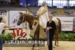25R1516_03625 thumbnail