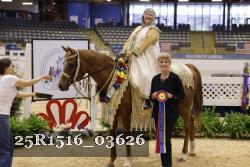 25R1516_03626 thumbnail