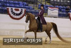 25R1516_03636 thumbnail