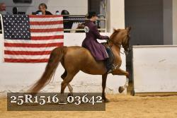 25R1516_03642 thumbnail
