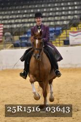 25R1516_03643 thumbnail