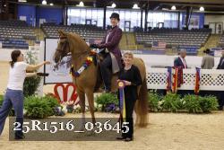 25R1516_03645 thumbnail