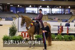 25R1516_03647 thumbnail