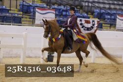 25R1516_03648 thumbnail