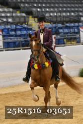 25R1516_03651 thumbnail