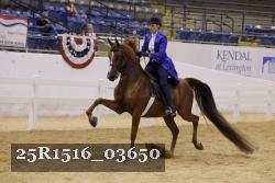 25R1516_03650 thumbnail