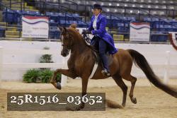 25R1516_03652 thumbnail