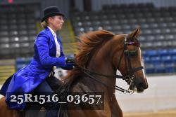 25R1516_03657 thumbnail