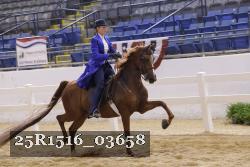 25R1516_03658 thumbnail
