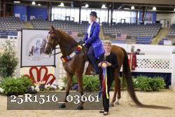 25R1516_03661 thumbnail