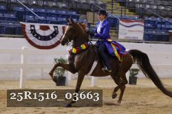 25R1516_03663 thumbnail