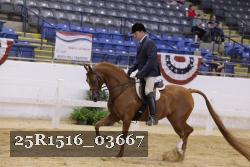 25R1516_03667 thumbnail