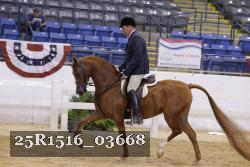 25R1516_03668 thumbnail