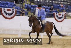 25R1516_03670 thumbnail