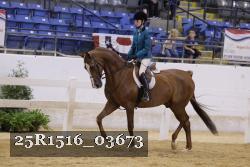 25R1516_03673 thumbnail