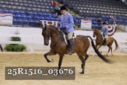 25R1516_03676 thumbnail