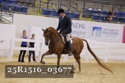 25R1516_03677 thumbnail