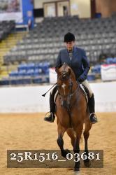 25R1516_03681 thumbnail