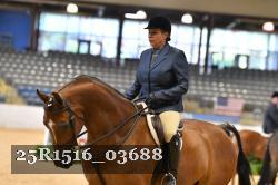 25R1516_03688 thumbnail