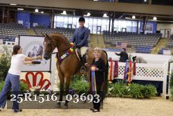25R1516_03693 thumbnail