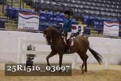 25R1516_03697 thumbnail