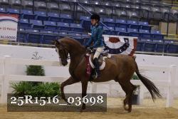 25R1516_03698 thumbnail