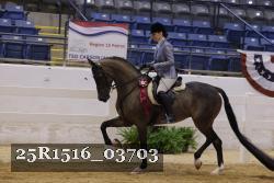 25R1516_03703 thumbnail