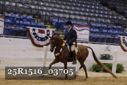25R1516_03705 thumbnail