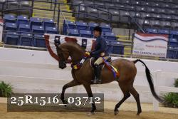 25R1516_03712 thumbnail