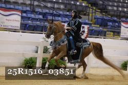 25R1516_03851 thumbnail