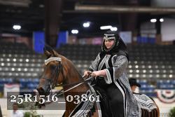 25R1516_03861 thumbnail