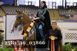 25R1516_03866 thumbnail