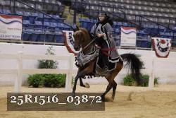 25R1516_03872 thumbnail