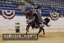 25R1516_03873 thumbnail